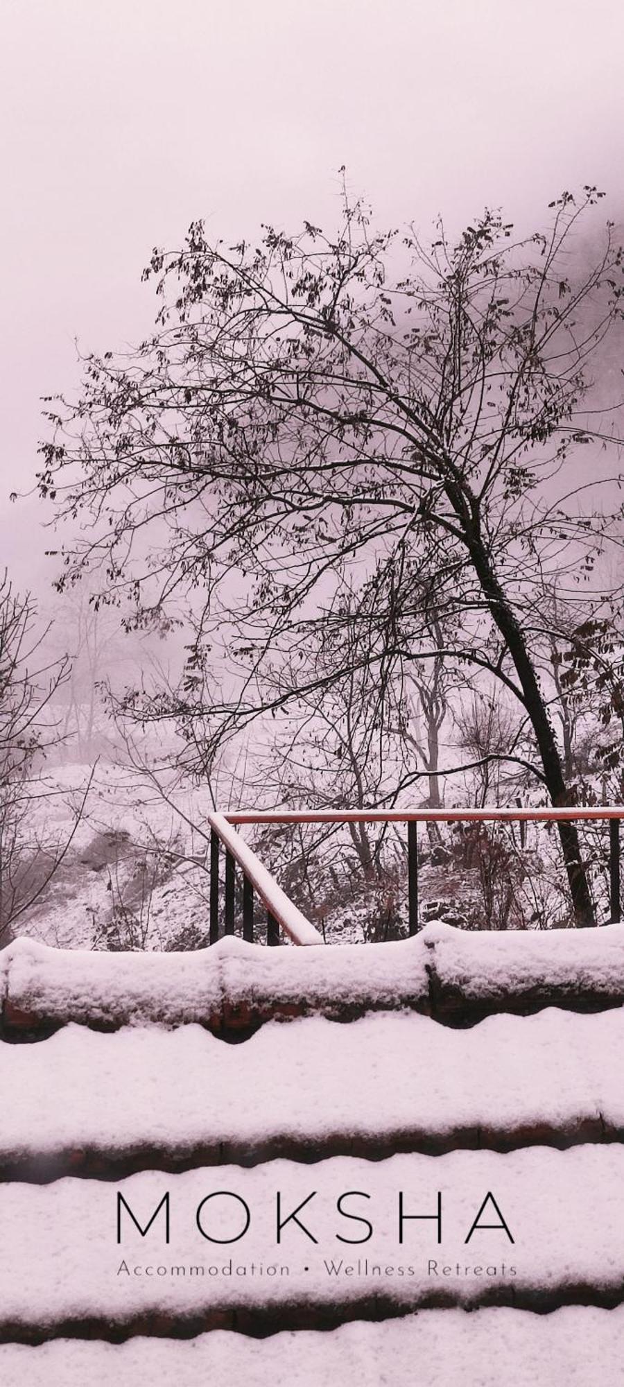 Moksha Slovenia Tolmin Exterior photo